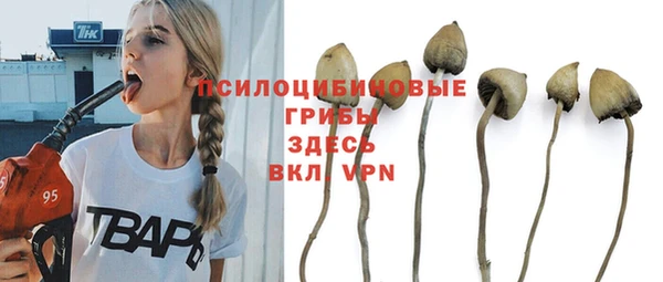 MESCALINE Аркадак