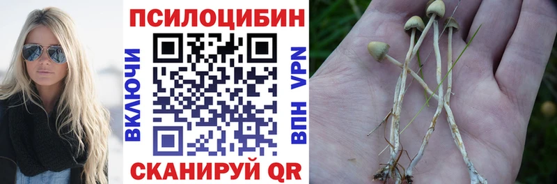 цена Светлоград Галлюциногенные грибы Psilocybine cubensis